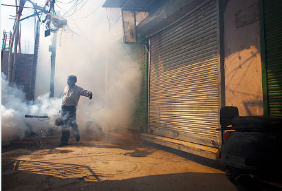 FUMIGACION FUMIGACION