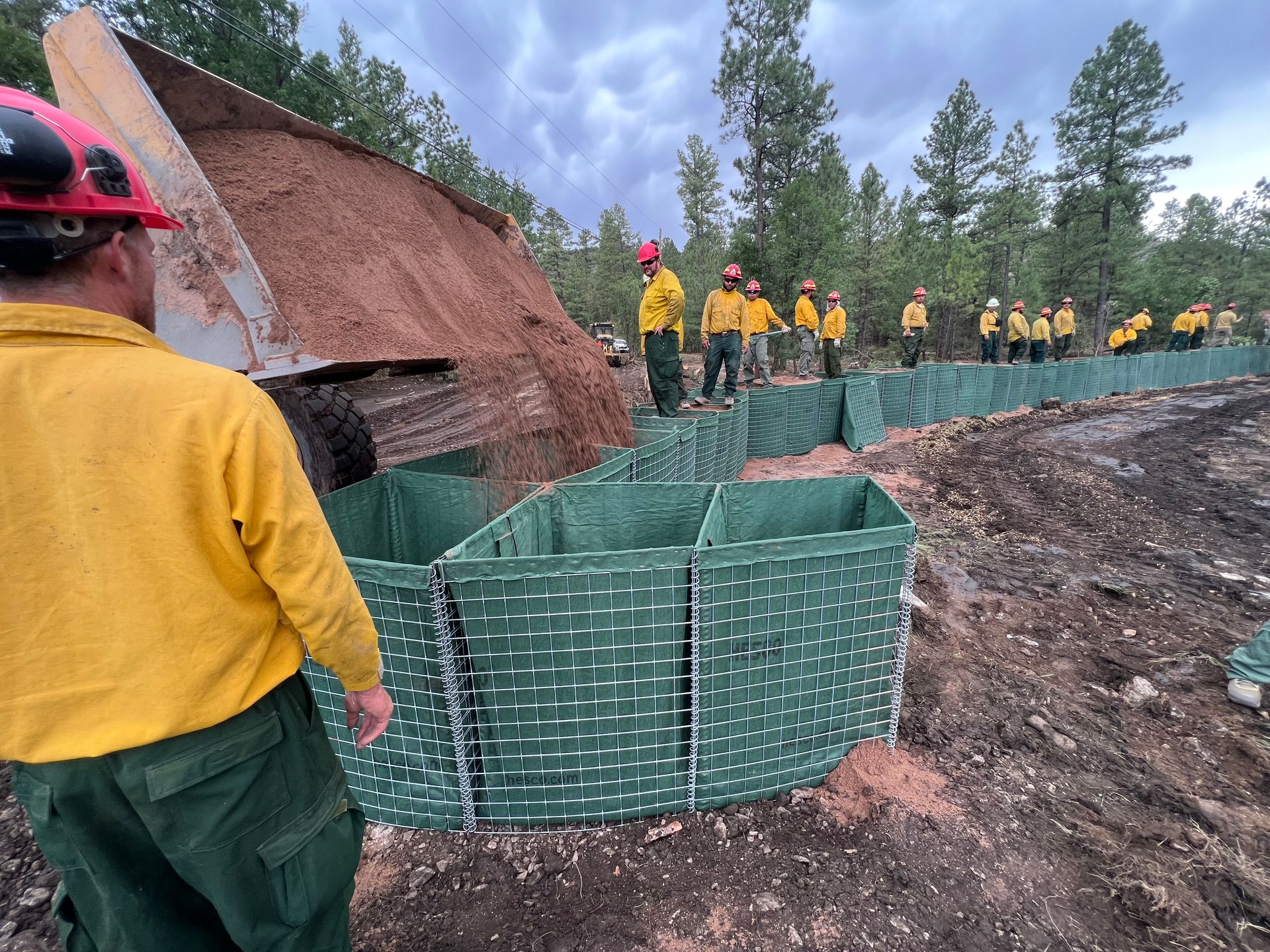 The Double Disaster of Forest Fires and Subsequent Flooding