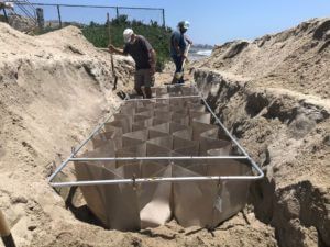 prevent coastal erosion