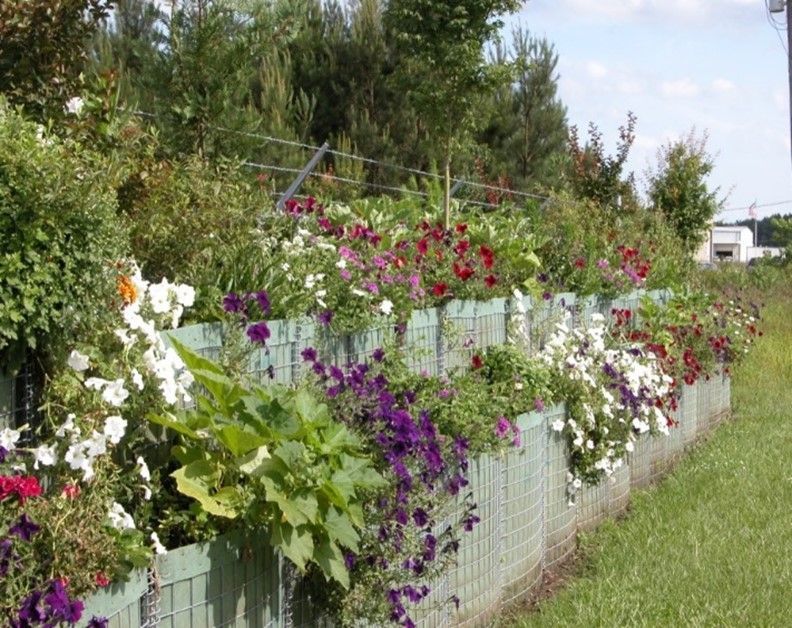 Flood Defense Landscaping with HESCO acting as flood barriers and raised garden beds
