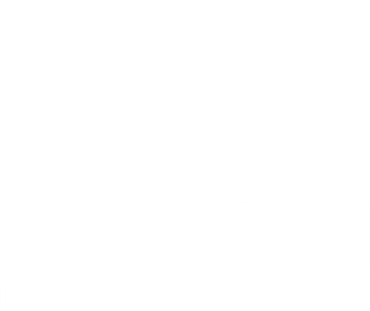 white logo for local electric company
