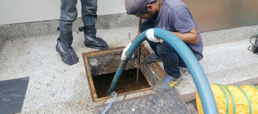 Plumbers Near Me