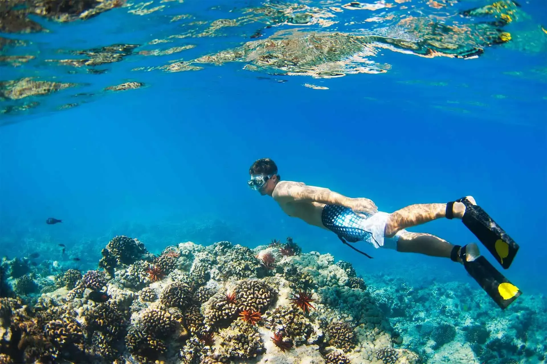 Tourist snorkeling in crystal-clear waters, one of the most popular activities for those wondering what to do in San Andrés Islands