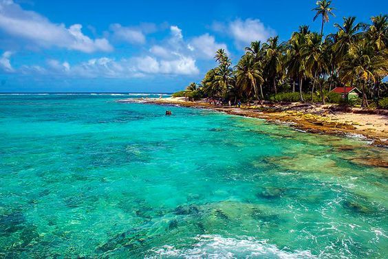 Panoramic view of a San Andrés beach with turquoise waters, white sand, and palm trees under a clear sky