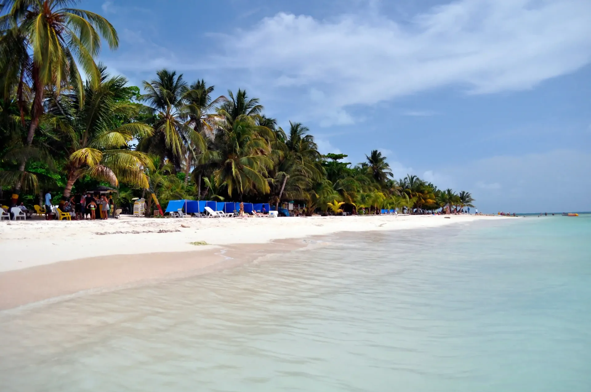 Playa de arena blanca y palmeras en San Andrés, cerca de hoteles en San Andrés cerca a la playa.