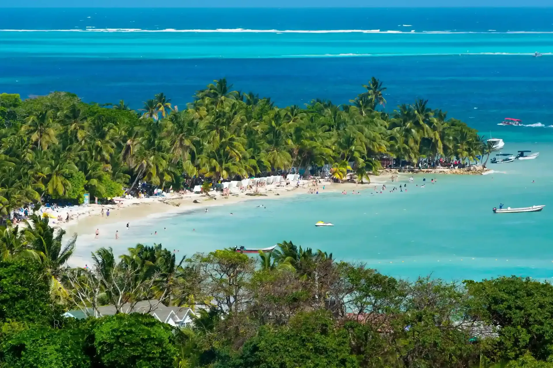 Palmeras frente al mar cerca de Aqualina Inn, uno de los hoteles en San Andrés cerca a la playa.