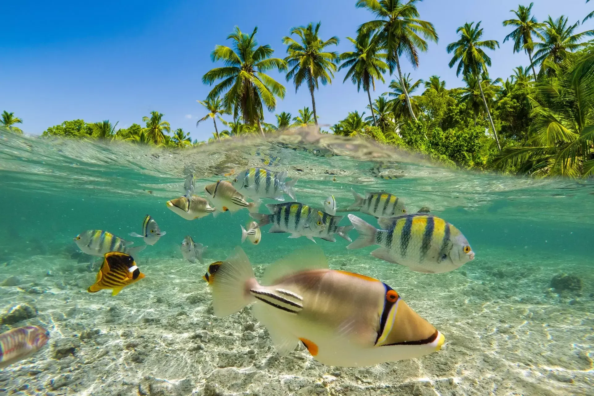 el acuario san andres