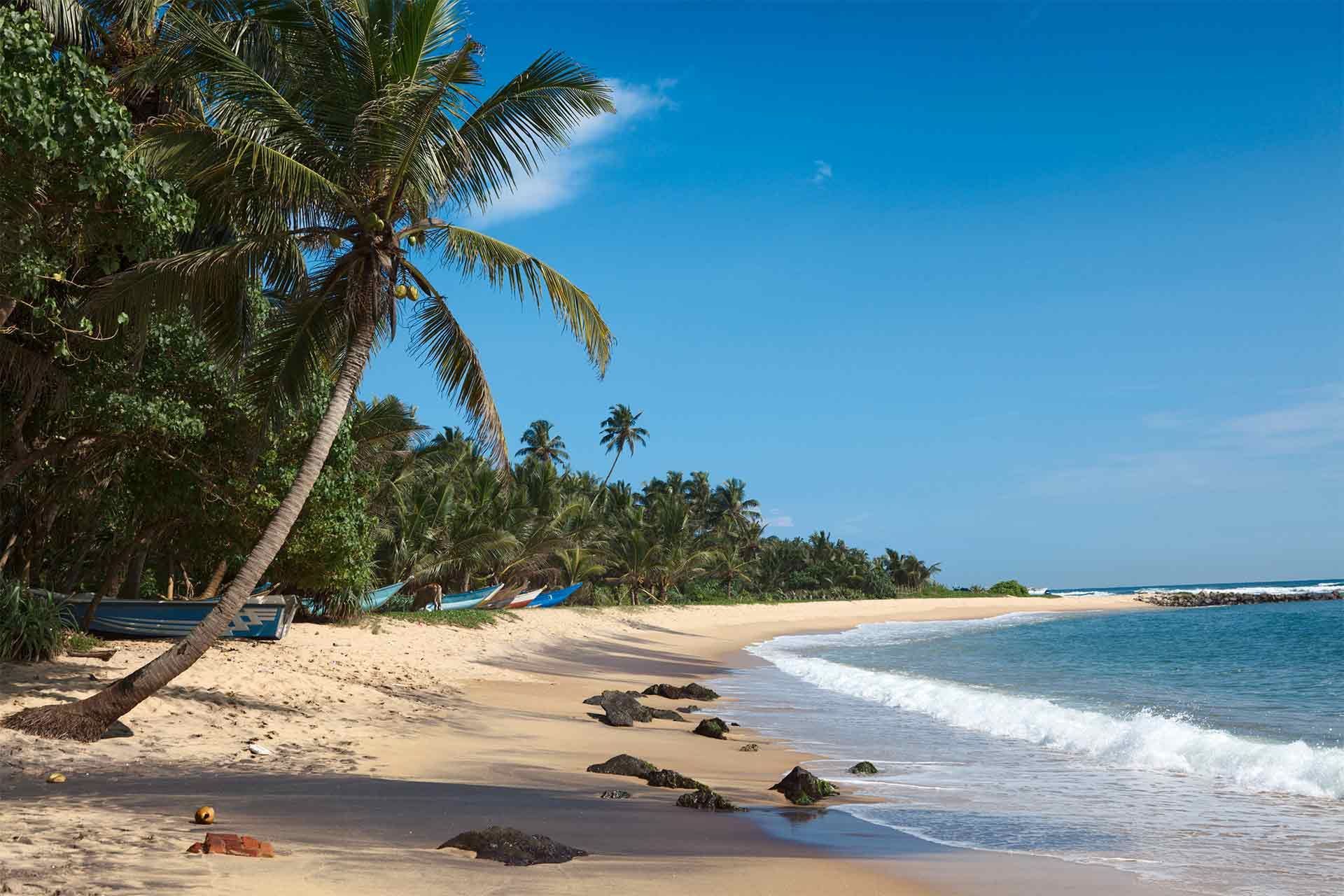 Beach surrounded by palm trees and golden sand, part of the appeal for those choosing hotels in San Andrés near the beach