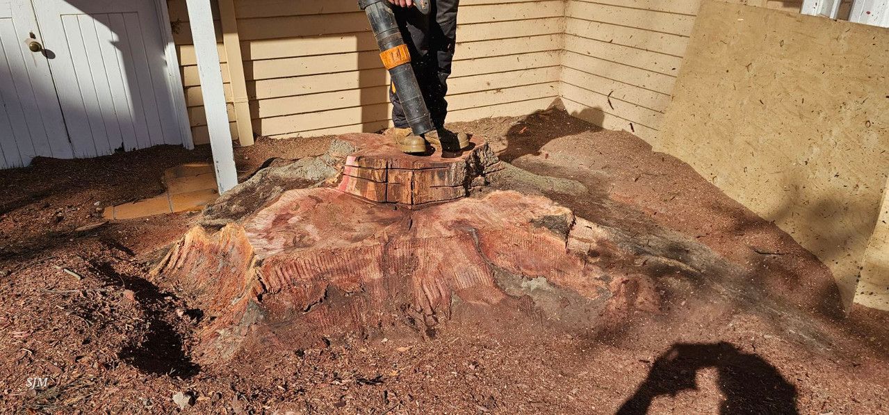 A man is cutting a tree stump with a chainsaw.