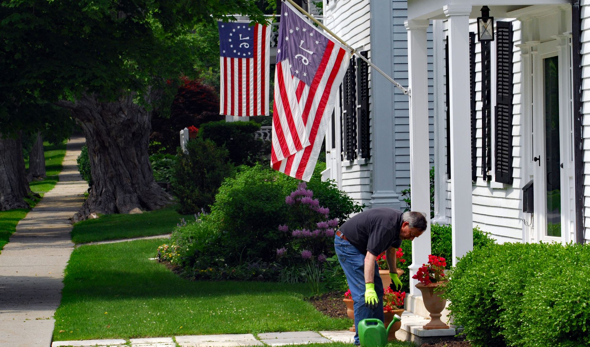Person tending flowers by a white house lined with American flags on a suburban sidewalk