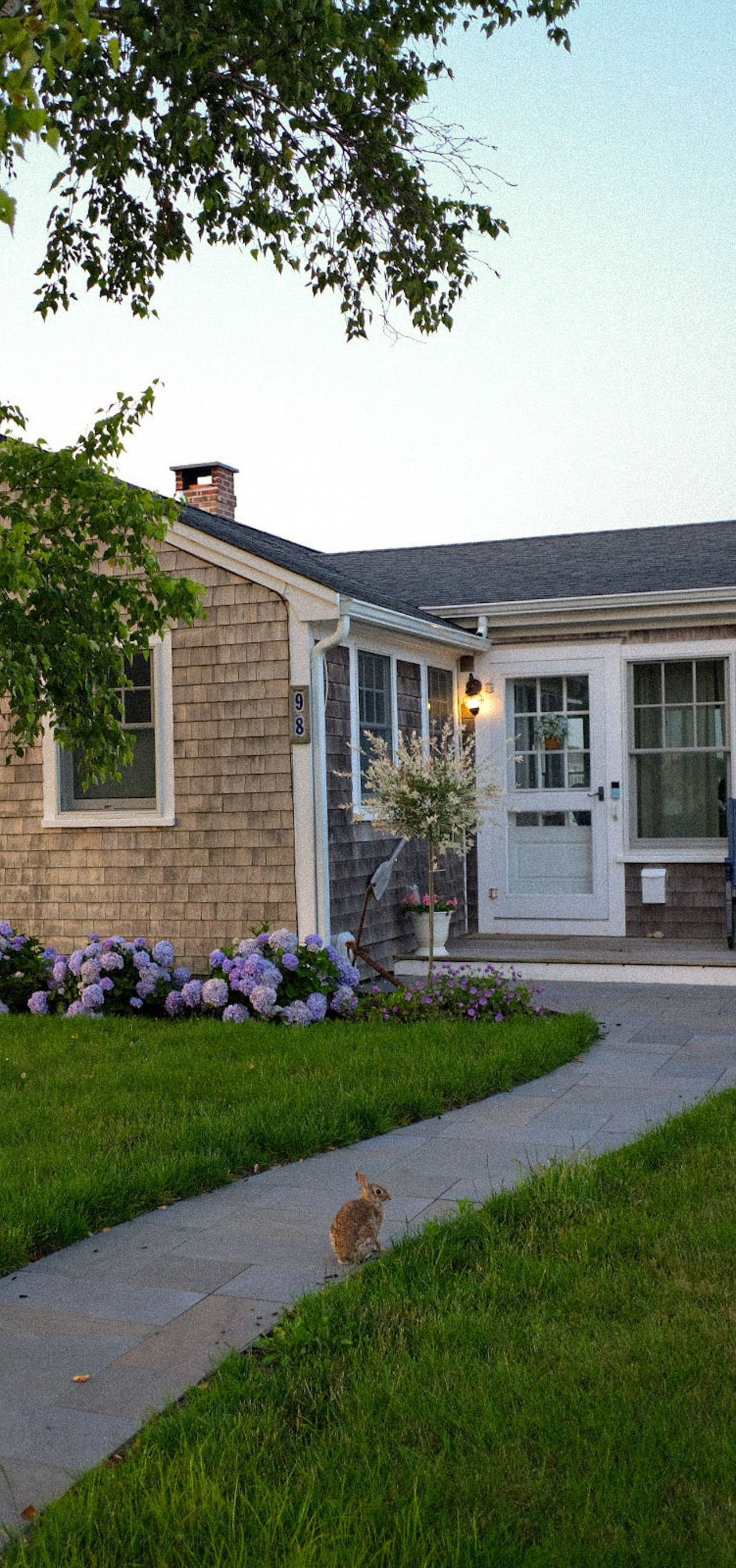 Front yard with stone walkway, green lawn, purple flowers, and a house with white porch doors at dusk