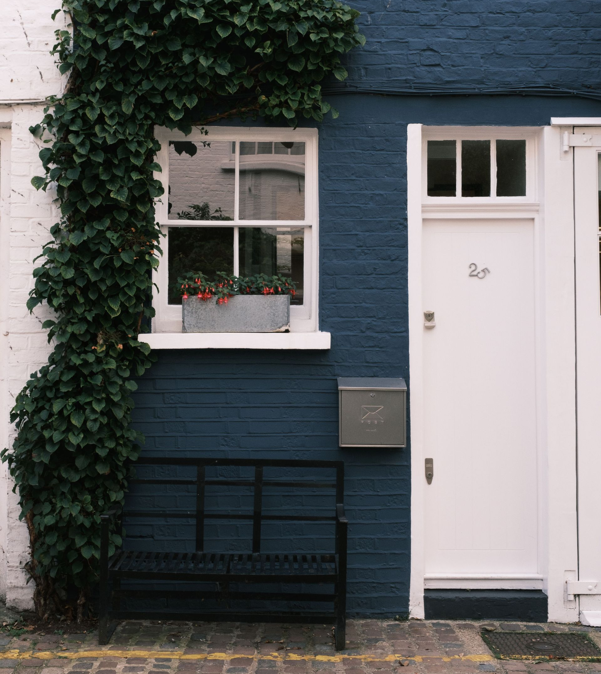 Blue brick house facade with white door, window, and ivy climbing the wall