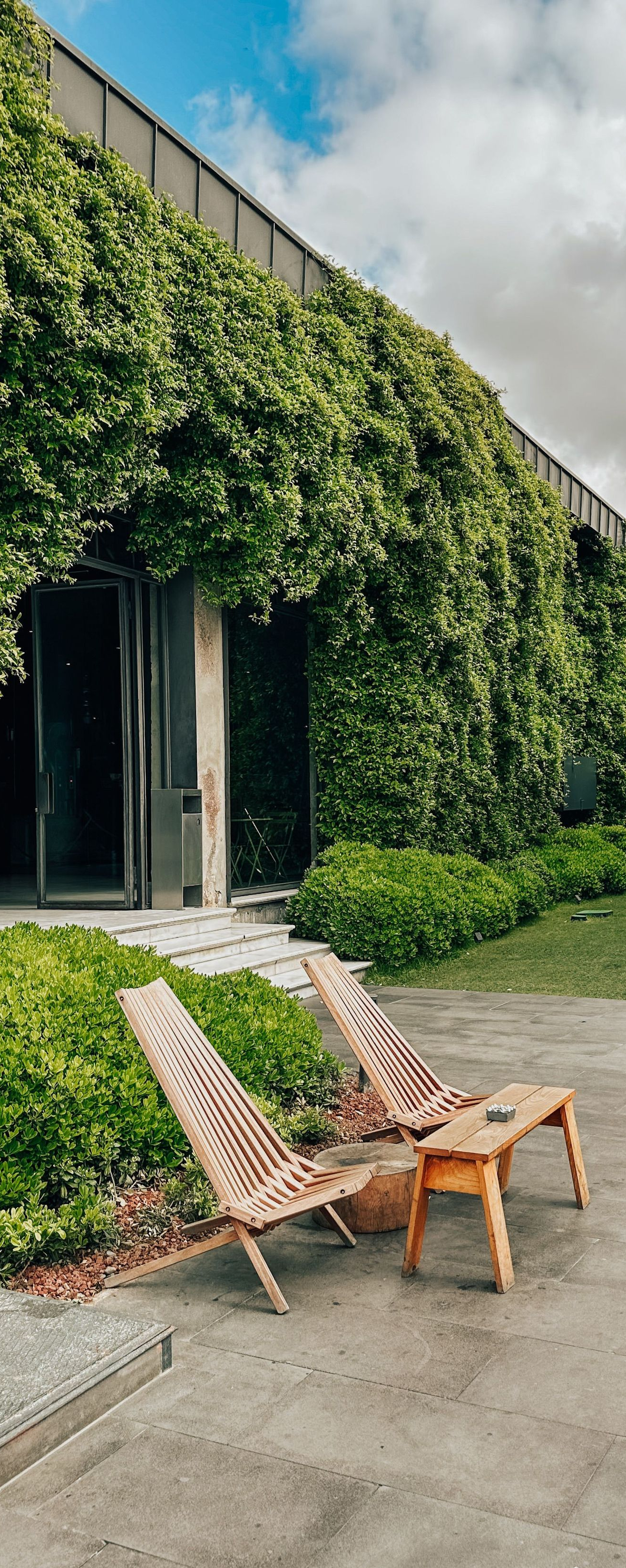 Two chairs on a paved patio beside a vine-covered building under a cloudy sky