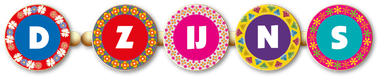 Logo D-ZIJNS