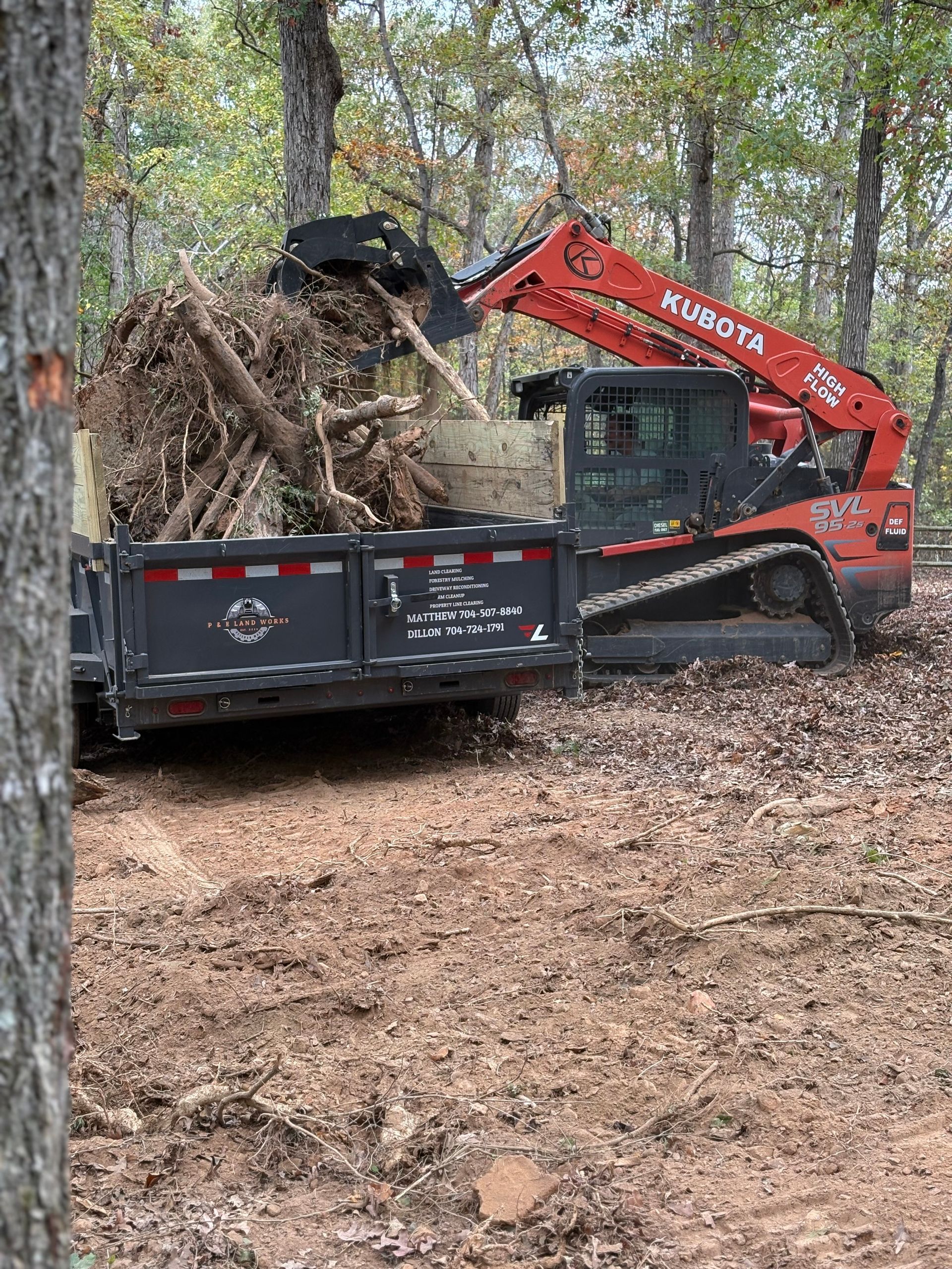A bulldozer is loading logs into a dumpster in the woods.