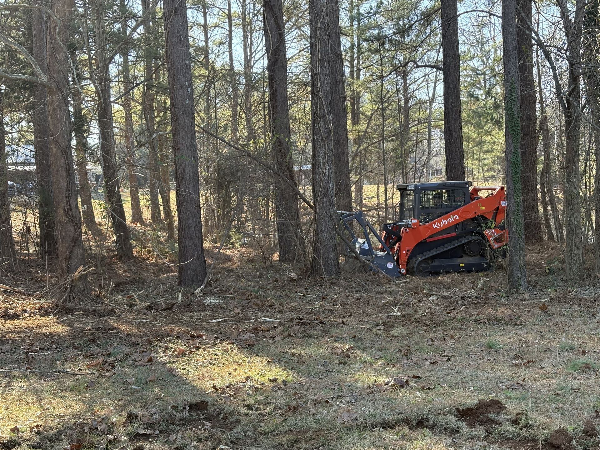A red and black tractor is driving through a forest.