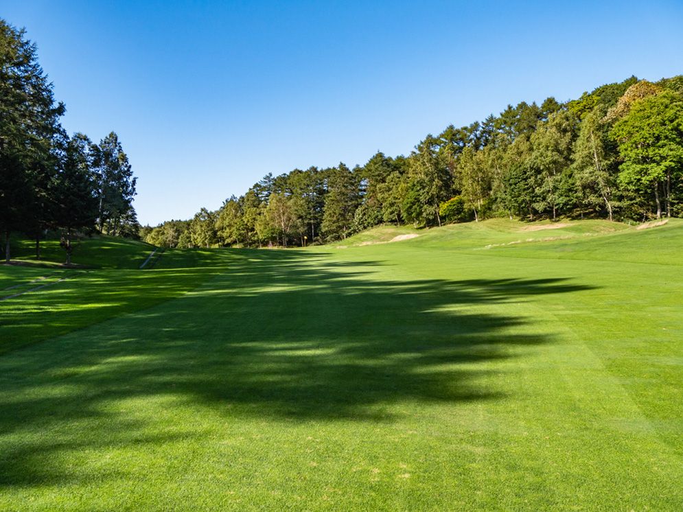 Quality Turf in Toowomba | Highfields Turf