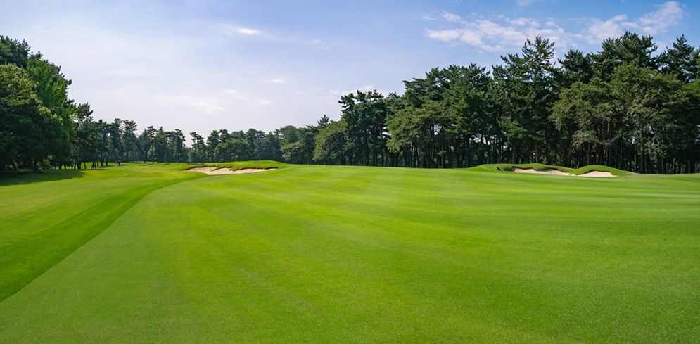 A Golf Course With a Lot of Green Grass and Trees in the Background — Highfields Turf in Roma, QLD