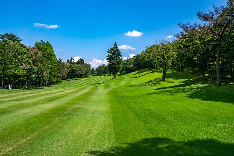 A Golf Course With a Lot of Green Grass and Trees on a Sunny Day — Highfields Turf in Chinchilla,QLD