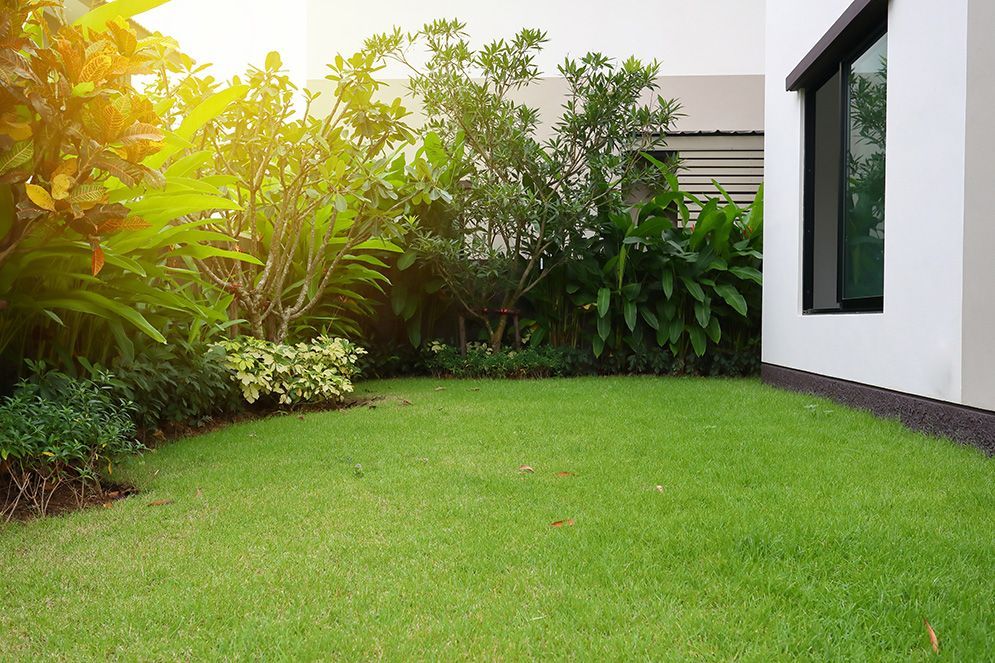 There is a Lush Green Lawn in Front of a House — Highfields Turf in Westbrook, QLD
