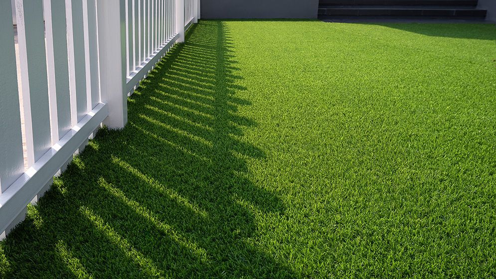 A White Fence is Surrounded by a Lush Green Lawn — Highfields Turf in Roma, QLD