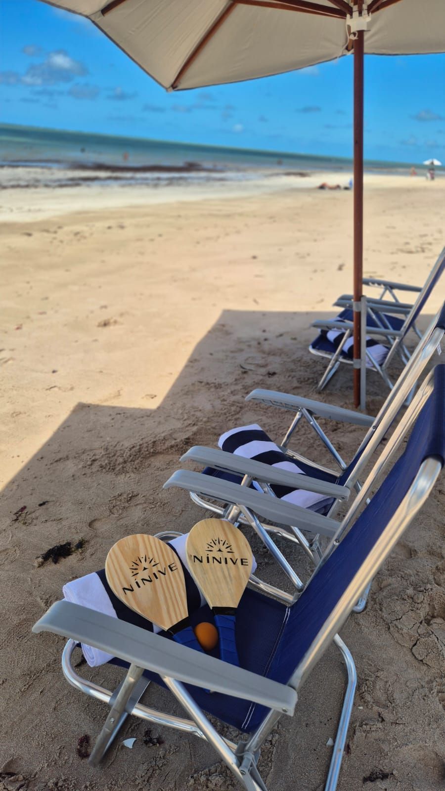 Cadeiras de praia e guarda-sol com vista para uma faixa de areia e o oceano azul.