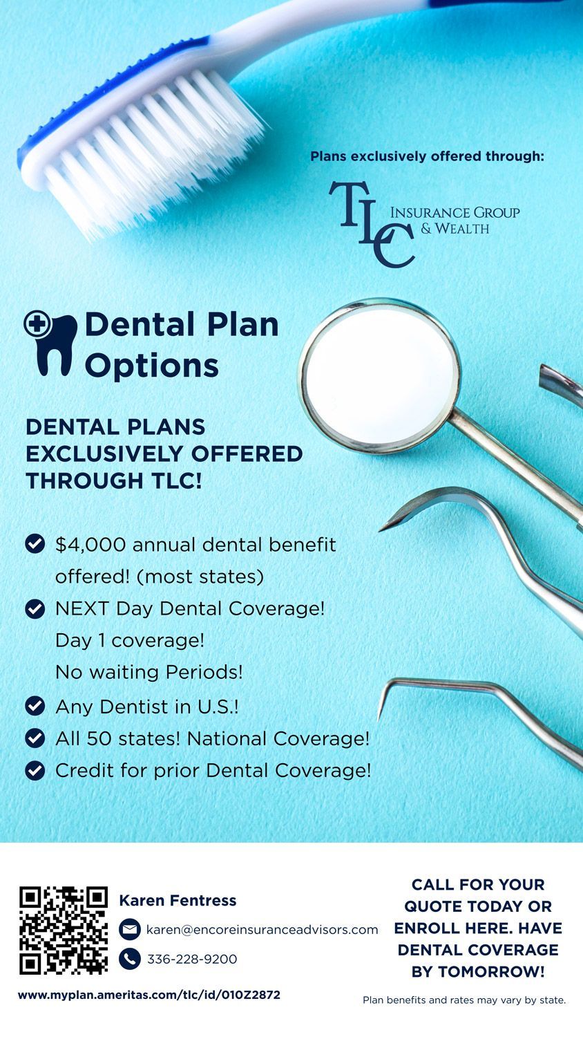 Blue dental plan flyer with toothbrush, mirror, floss, toothpaste, and offer text