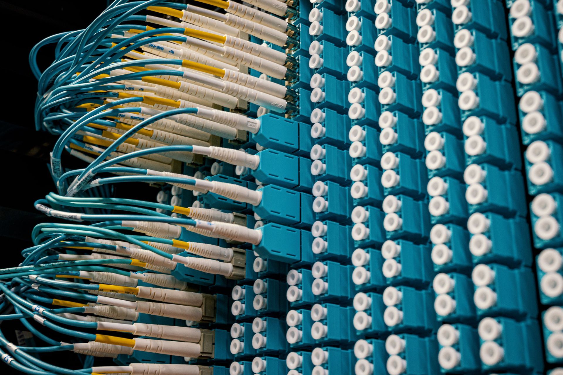 Rows of blue fiber optic cables connected to a dense network patch panel