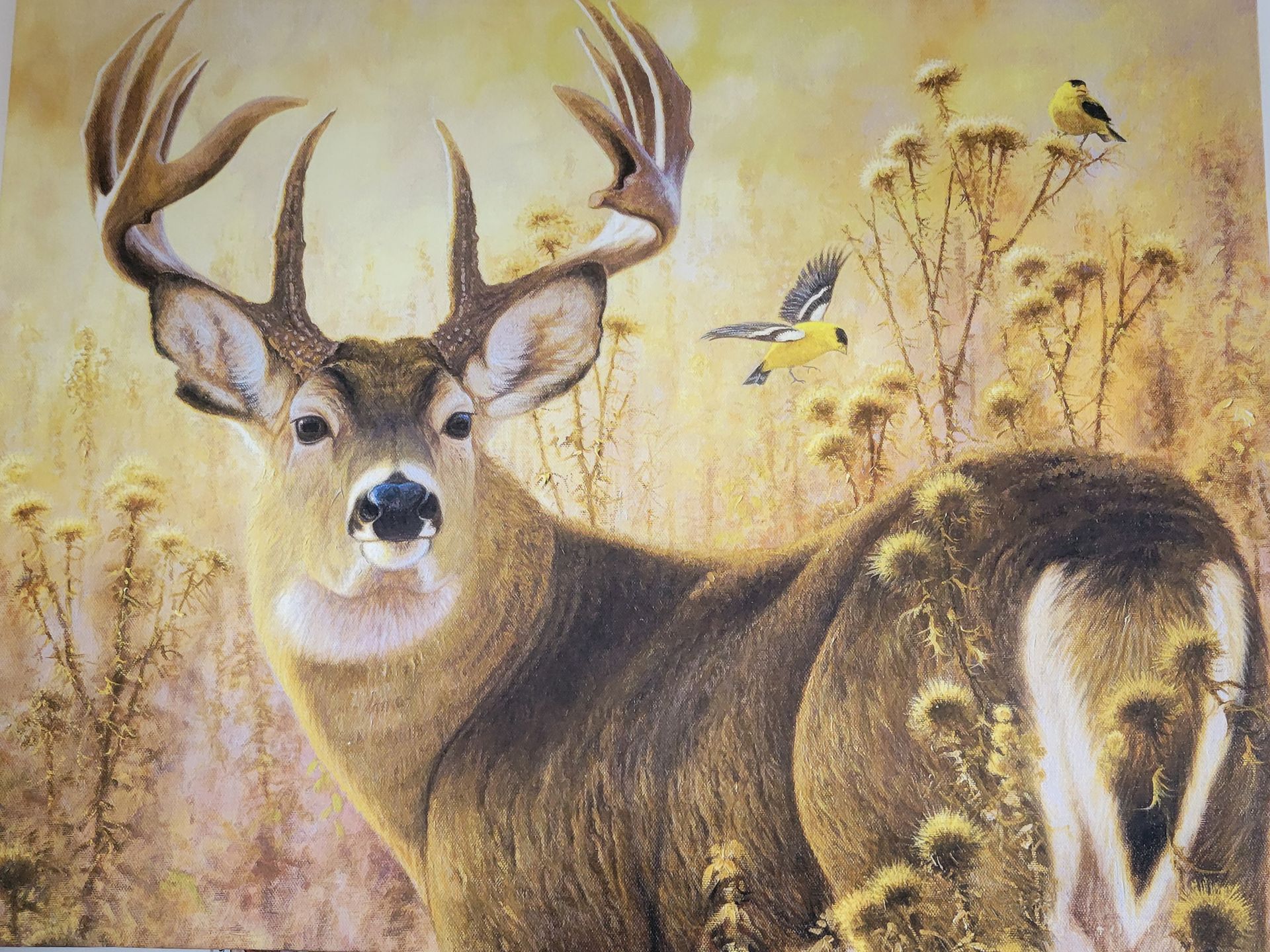 Buck deer in a golden meadow with butterflies and birds