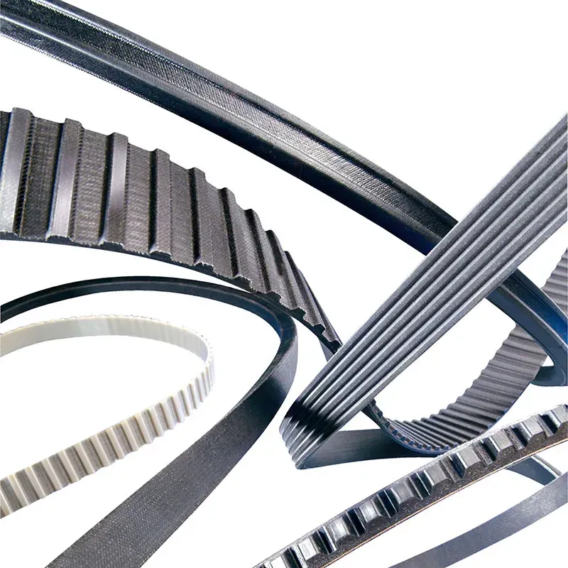 SKF Belts — Mount Gambier, SA — Gardner Bearings