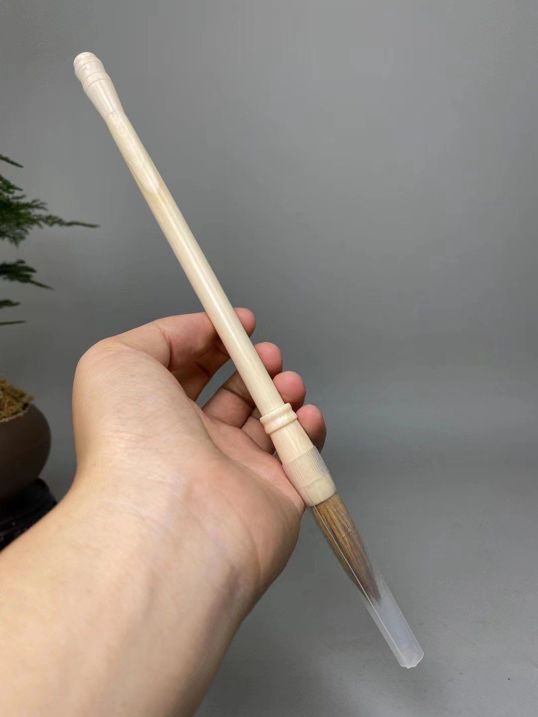《書香翰墨情》