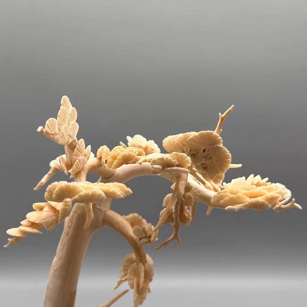 《裊娜飛羽》