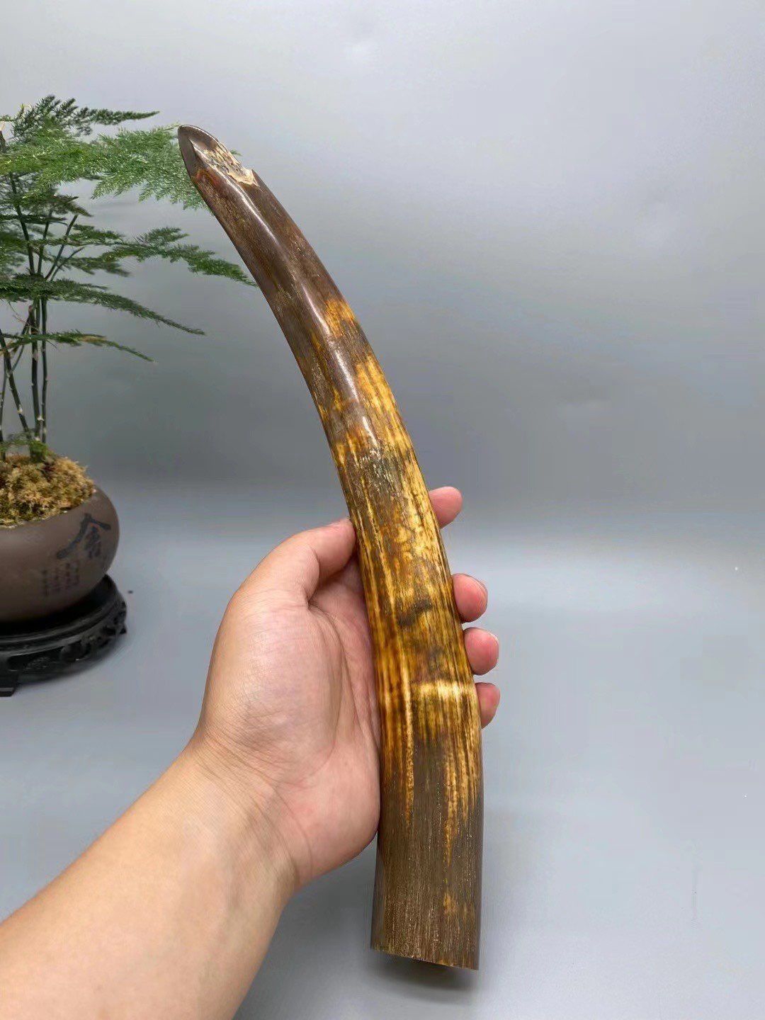 《流金歲月》