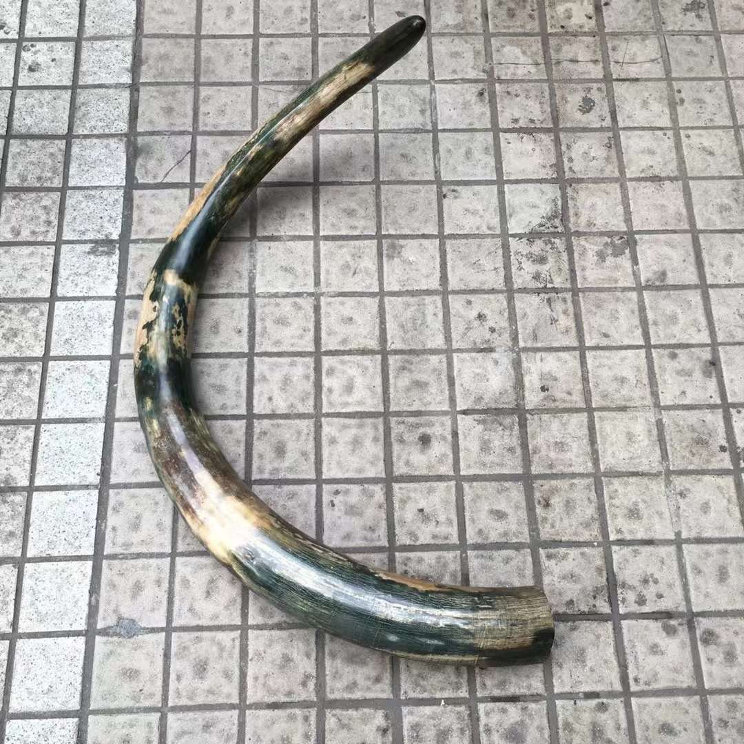 《蒼時翠》