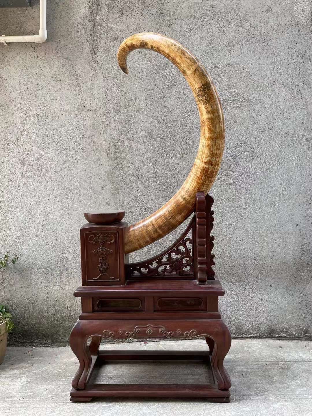 《象枝》