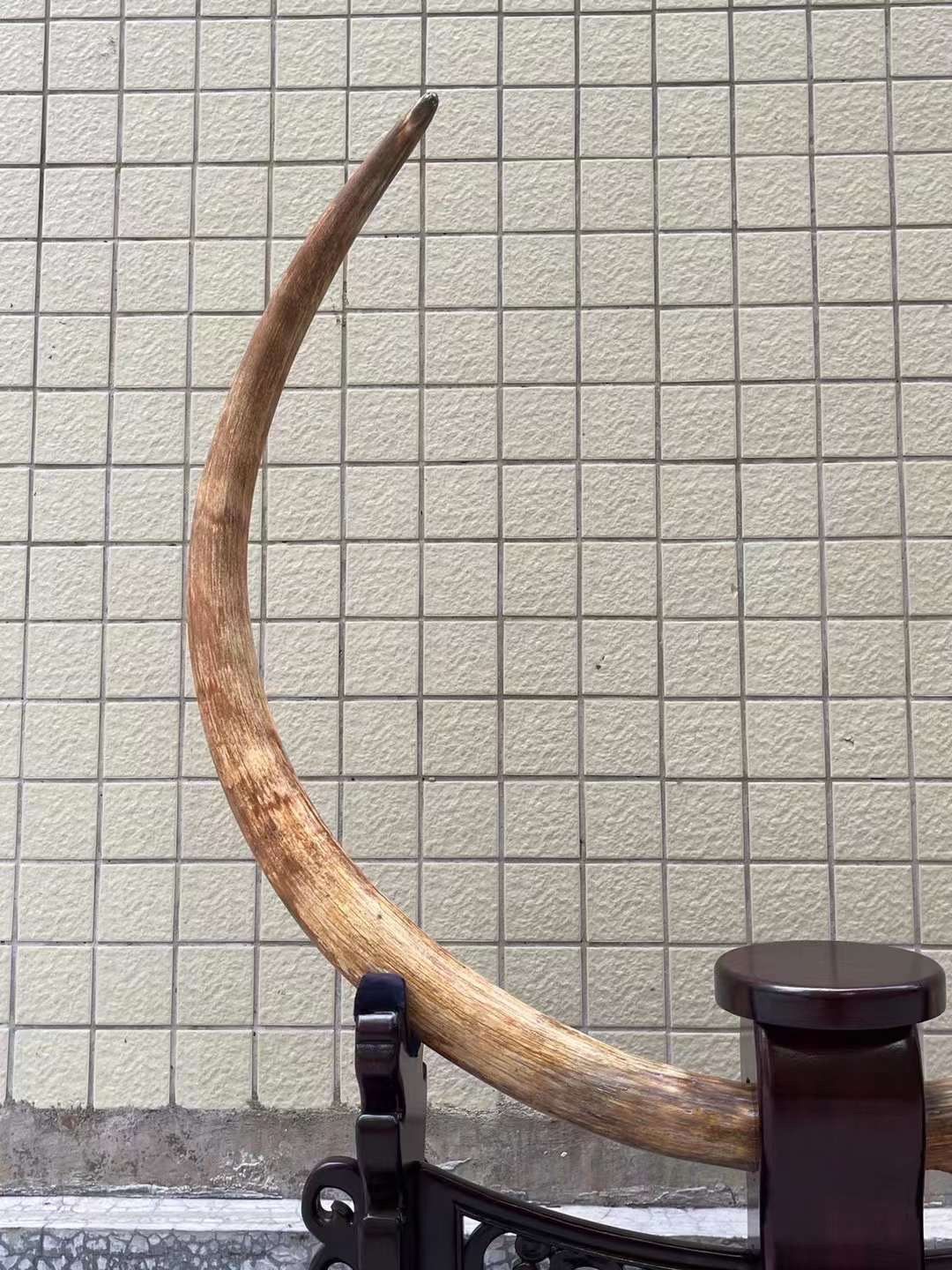 《永凍明月》
