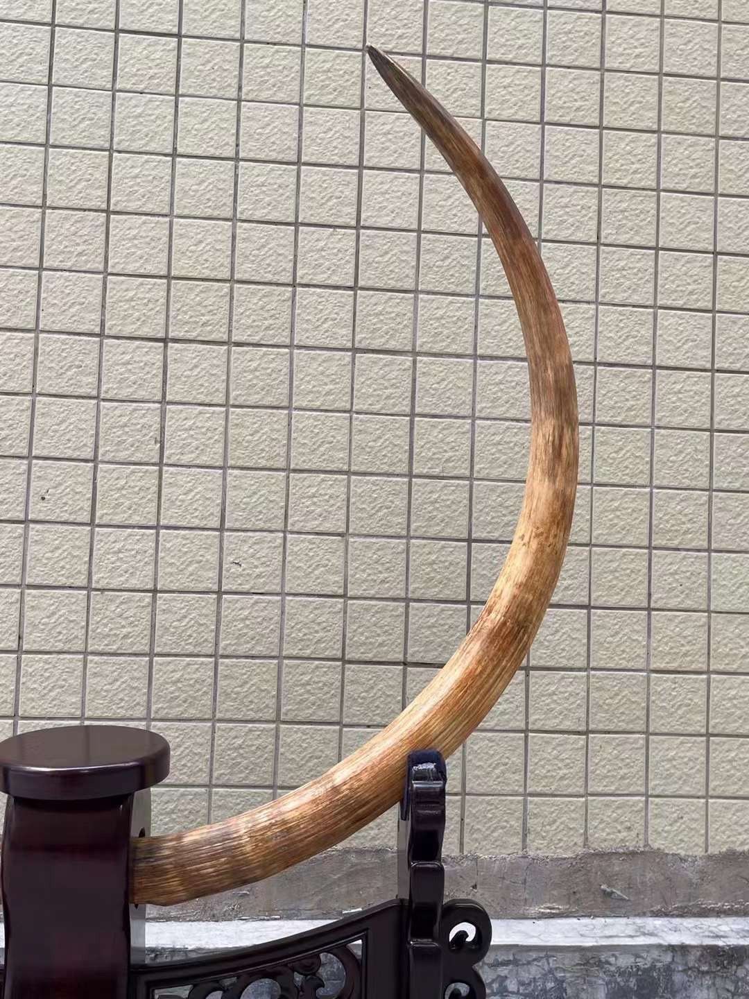 《永凍明月》