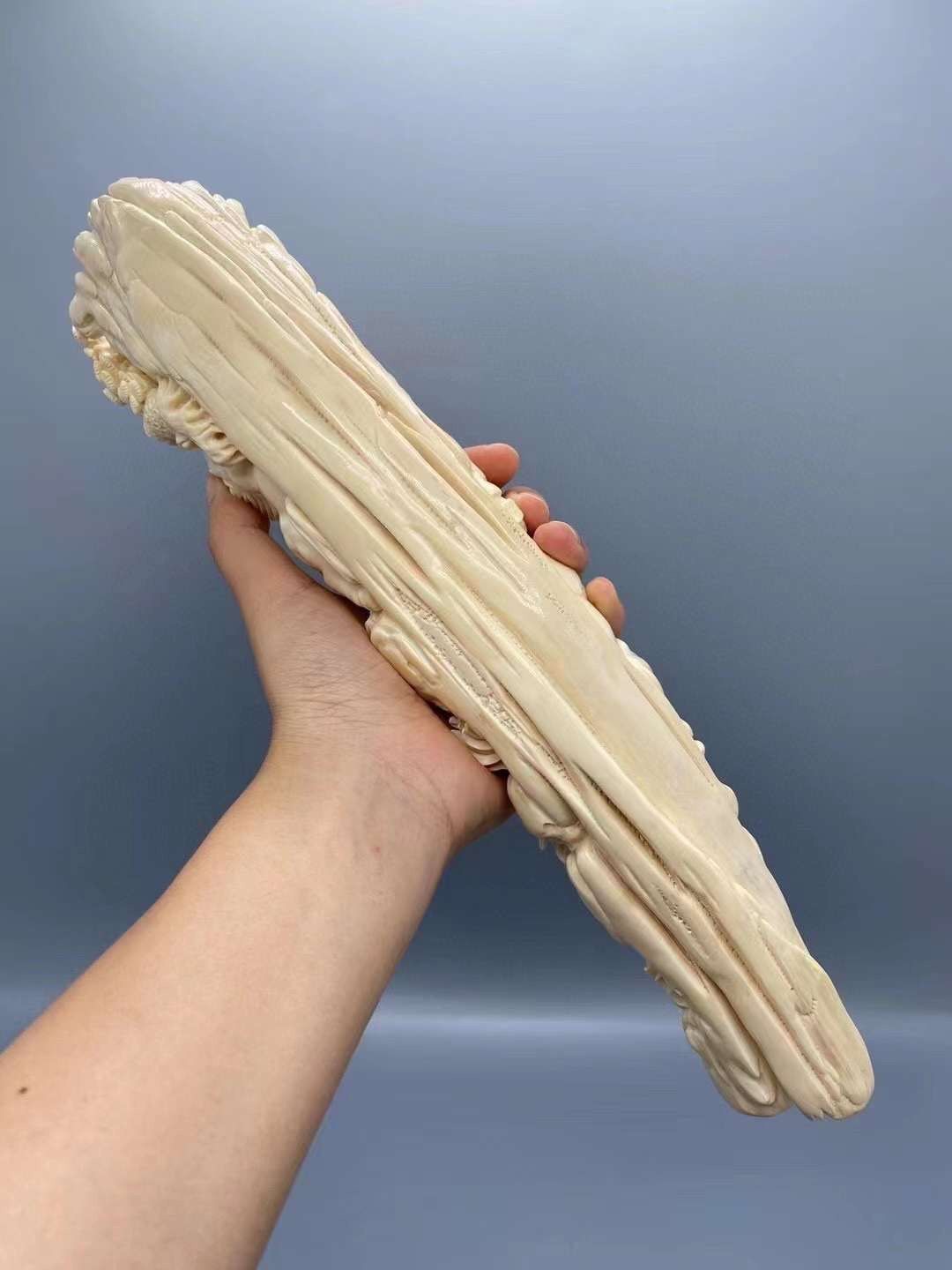《揚塵逐影》