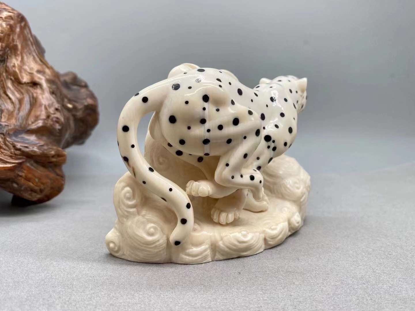《金錢豹》