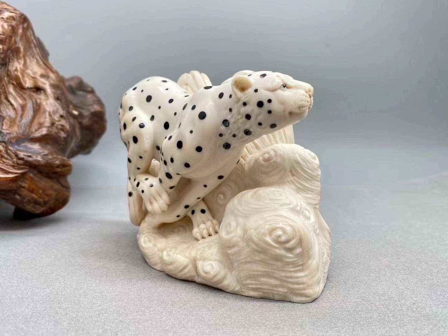 《金錢豹》