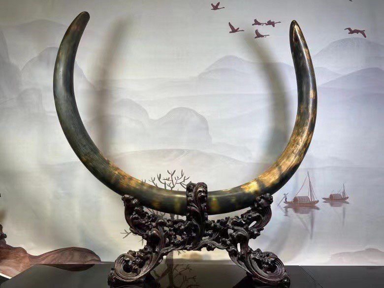 《雙影含光》