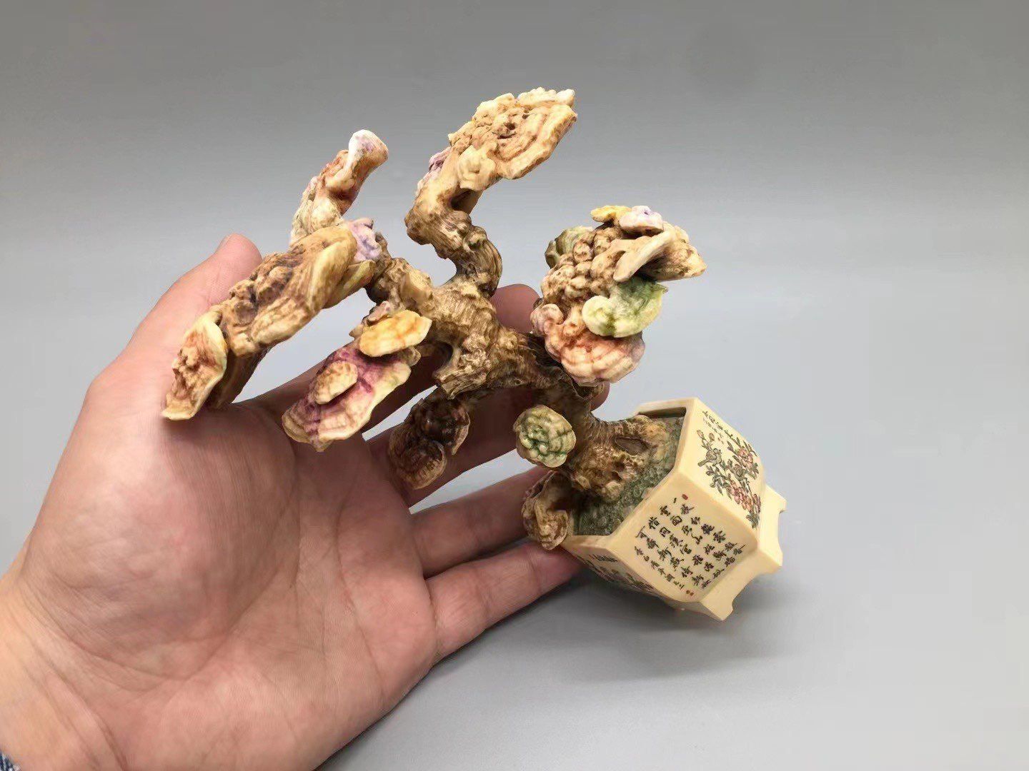 《萬象千秋賞雅趣》