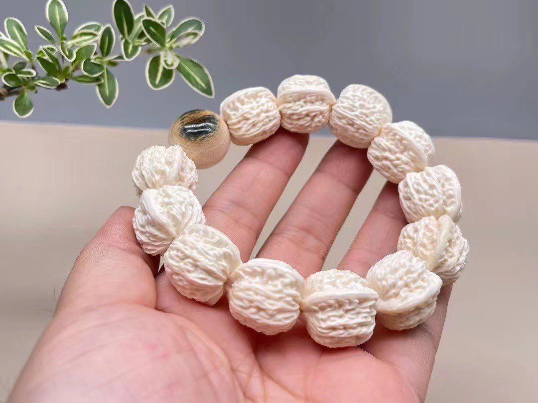 《智慧瑰寶》