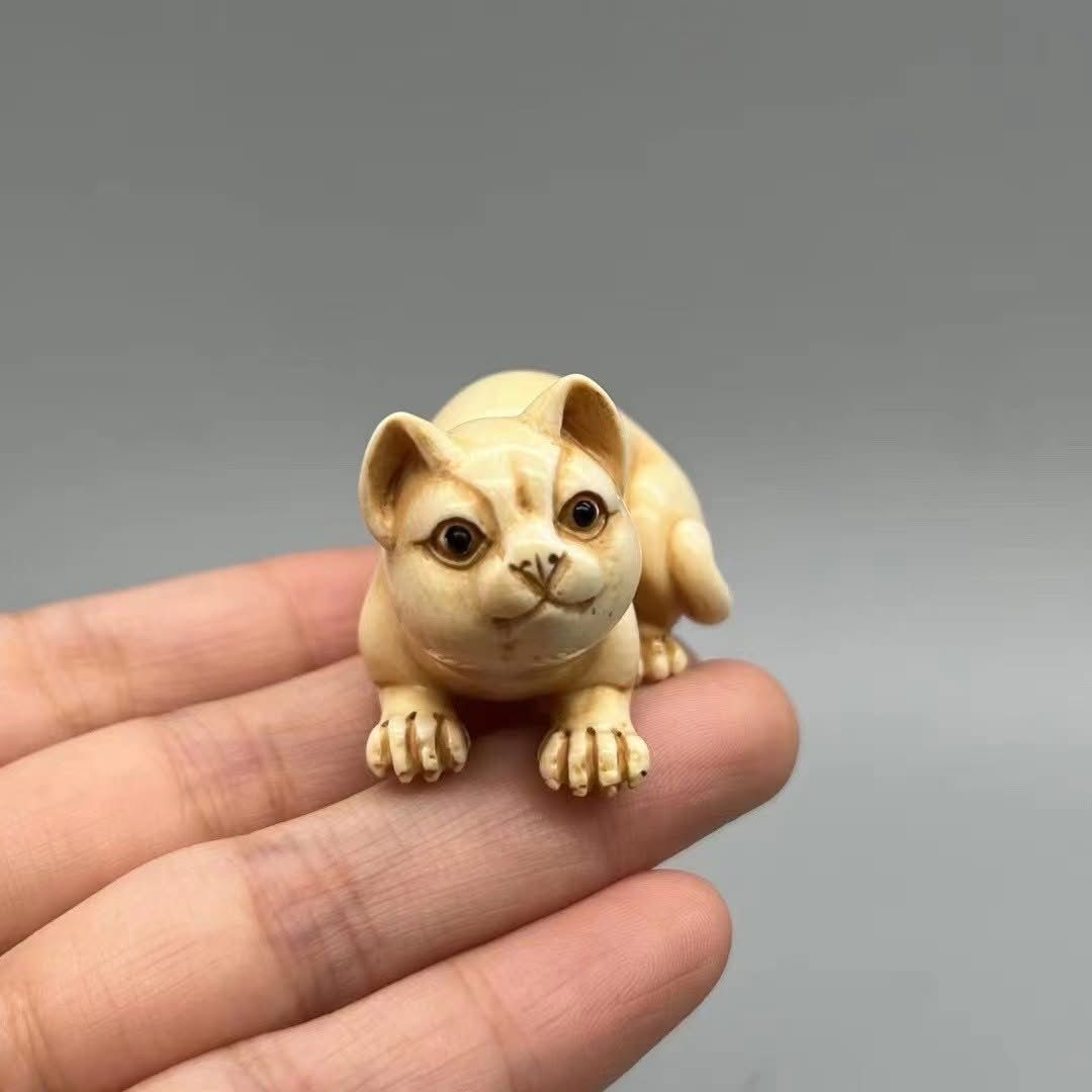 《絲綢裡的子貓》