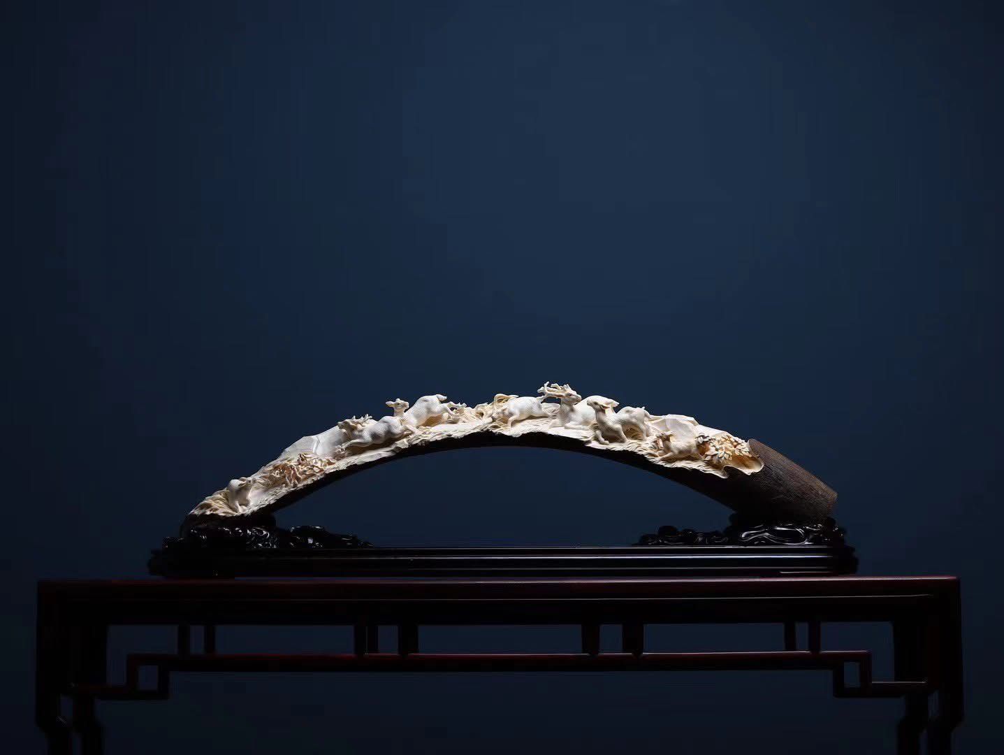 《晨曦鹿語》