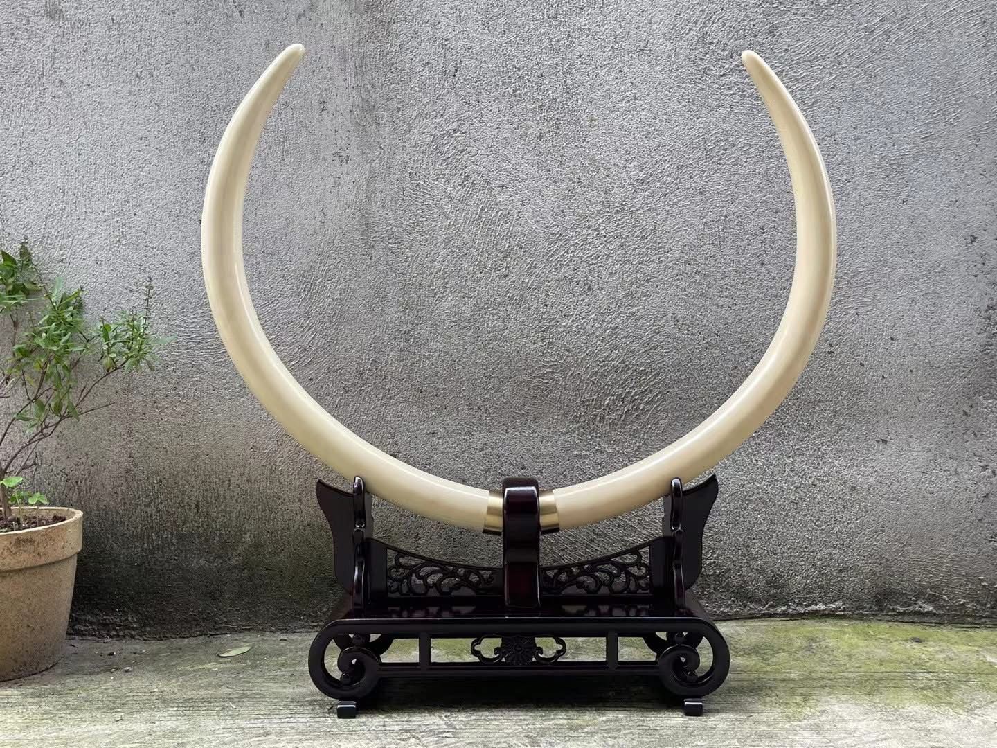 《彎月之瑕》