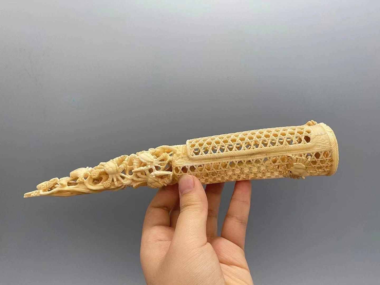 《漫步潮起》