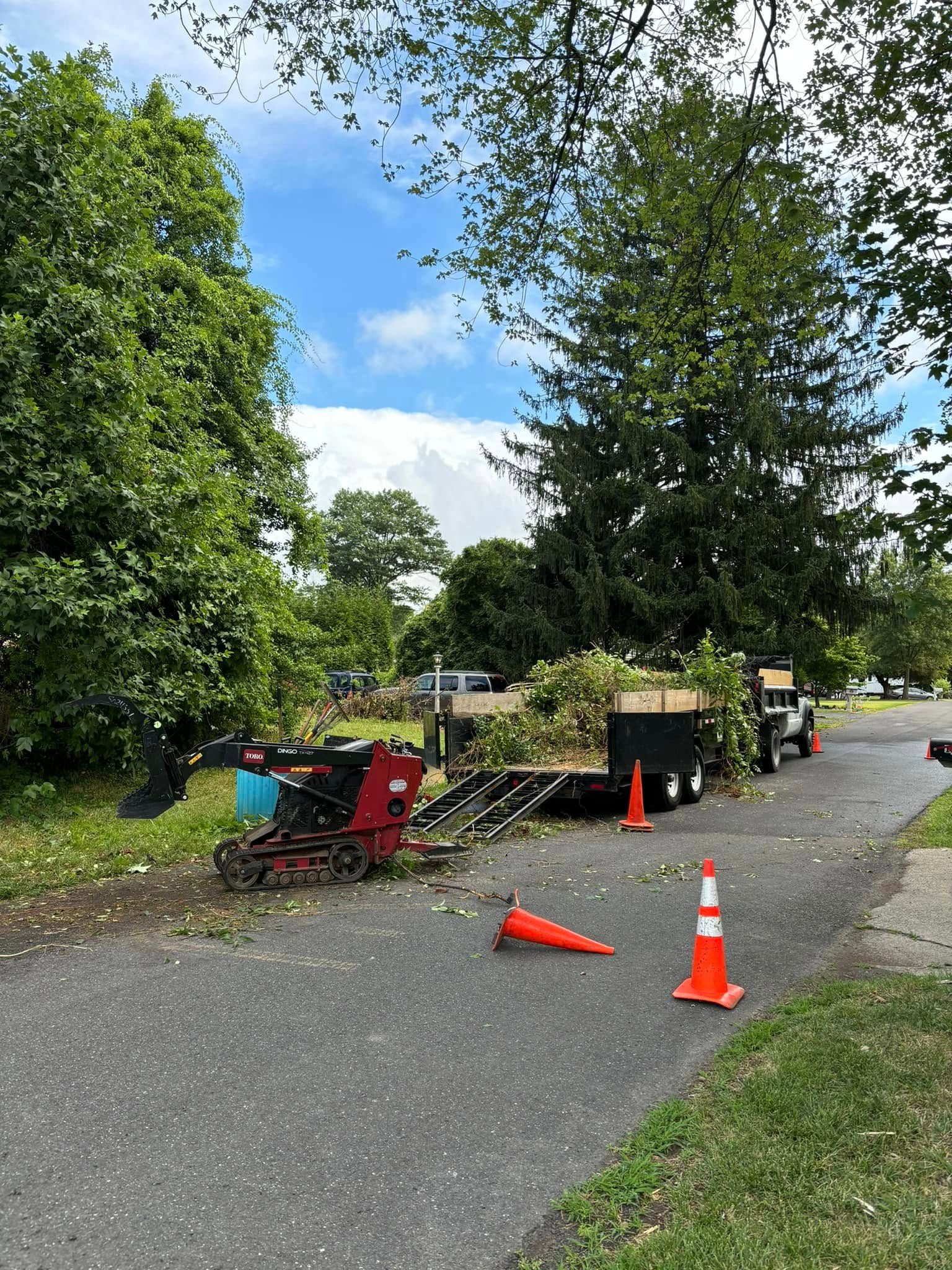 Tree trimming equipment on a path: shredder, trailer loaded with branches, cones. Trees and sky in the background.