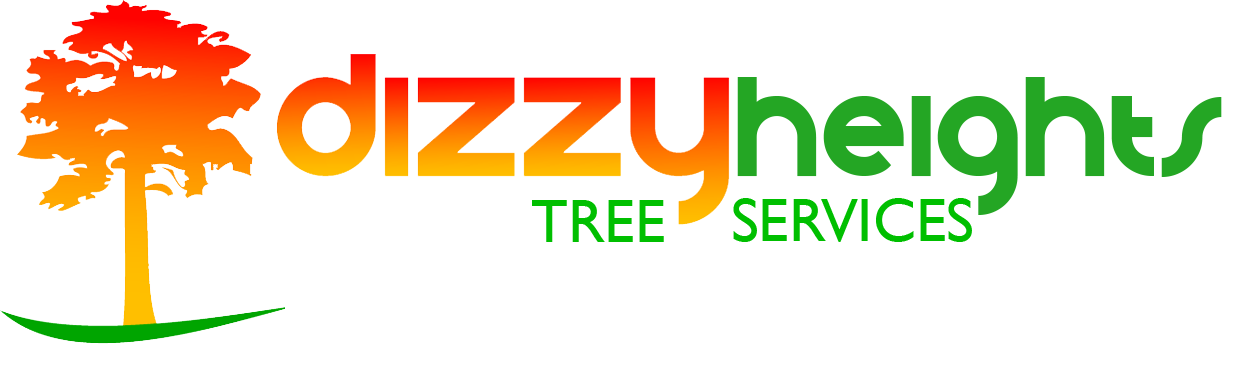 a logo for a company called dizzy heights tree services