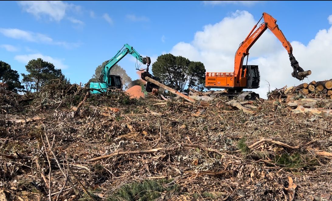 two excavators are working on a pile of wood in a field .